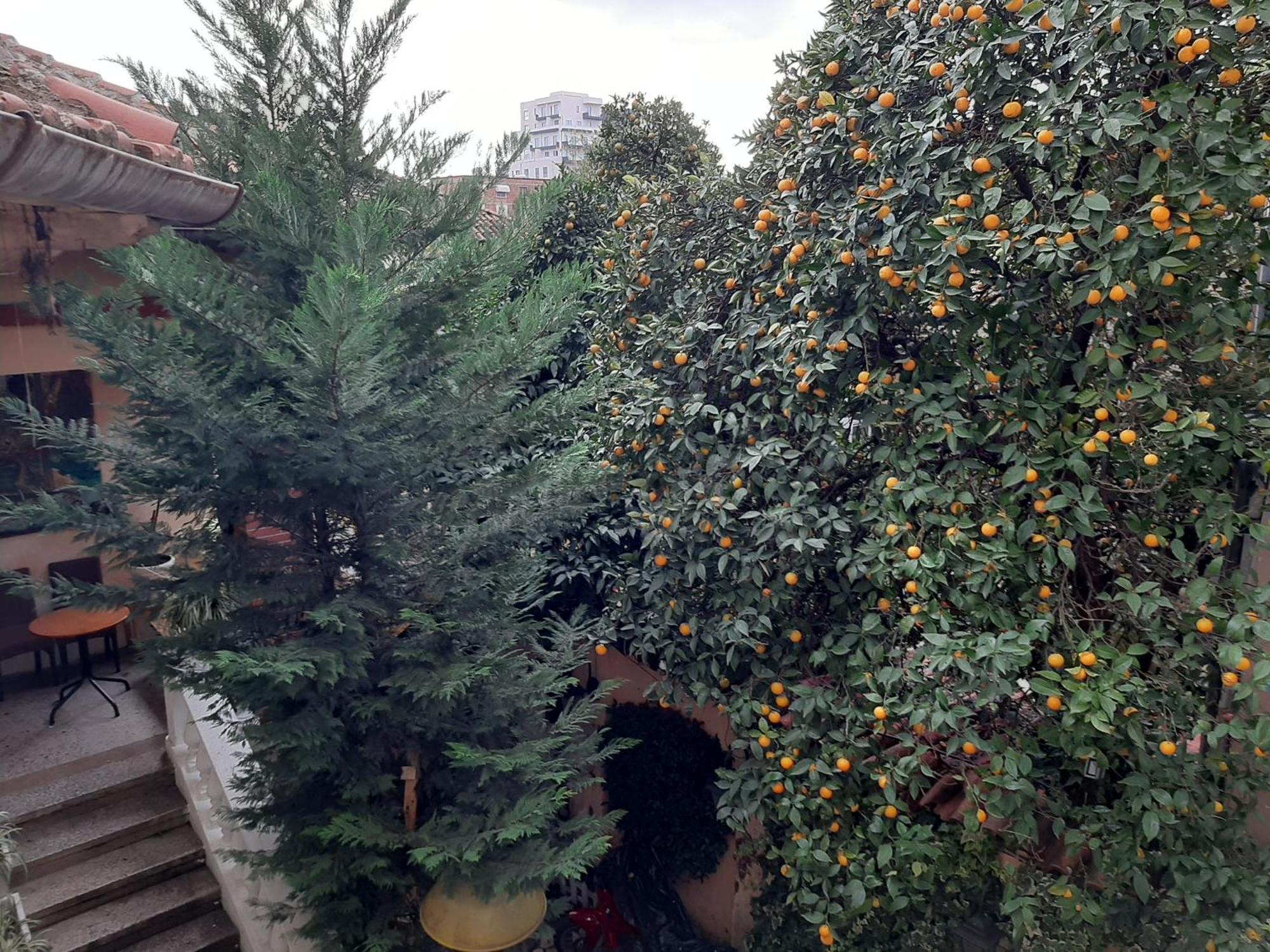 Enki'S Guesthouse Tirana Buitenkant foto